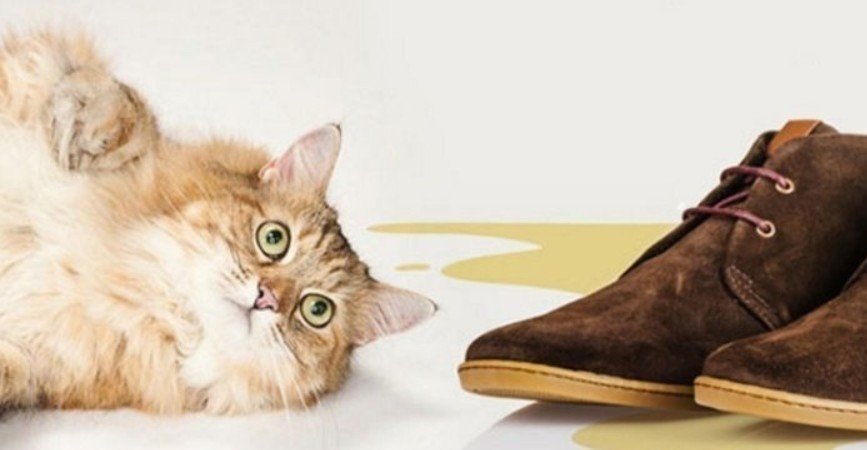 Обувь для кошек