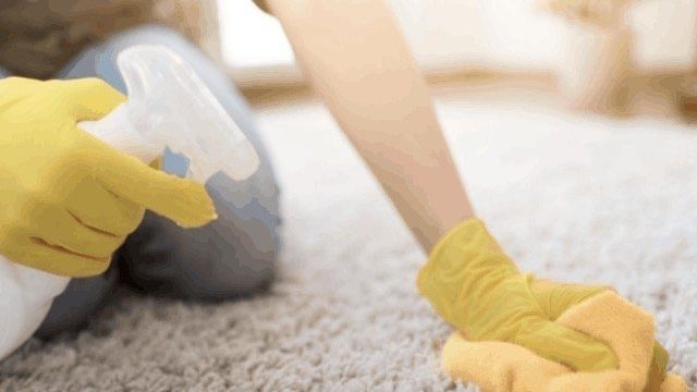 Лучшие способы и средства для чистки ковров в домашних условиях