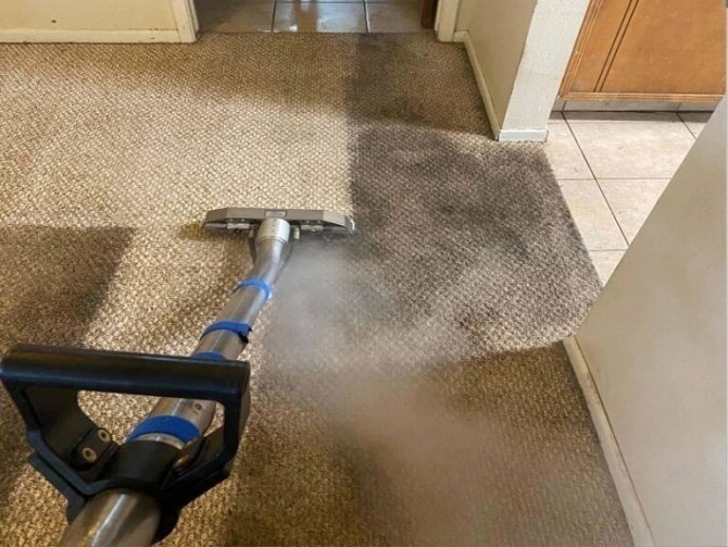 I clean the carpet в отрицательной форме