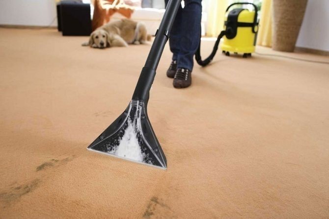 Вытягивающий пылесос для химчистки ковров