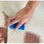 Чем очистить пятна на ковре