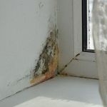 Конденсат на окнах, почему потеют и чем смазывать уплотнители пластиковых окон