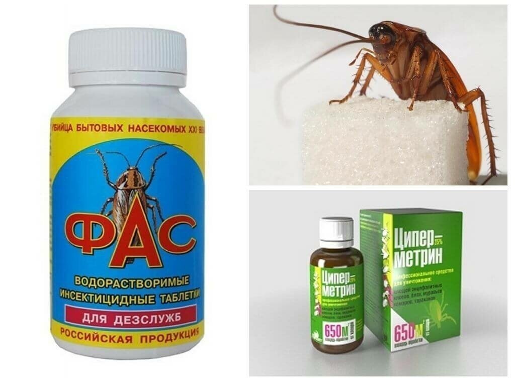 Эффективное средство от тараканов в квартире