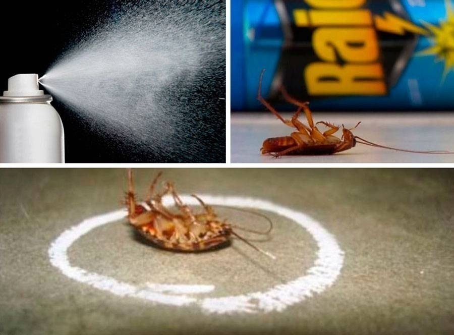 Самое эффективное средство от тараканов в квартире