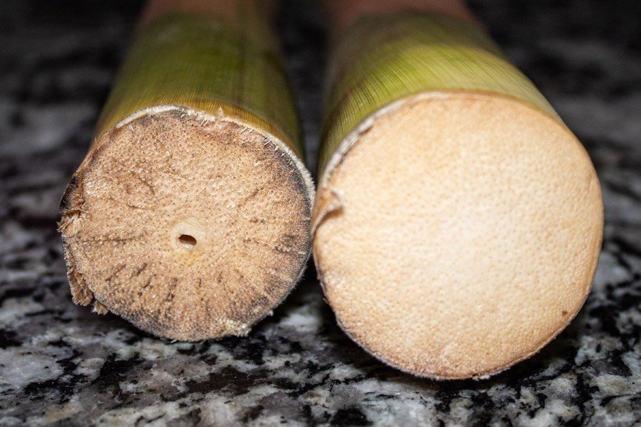 Пороки древесины отлуп