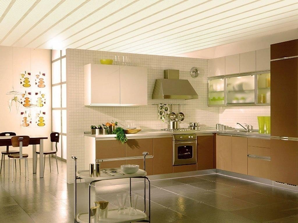 Кухня стиль потолок из пластиковых панелей