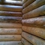 Как убрать плесень с деревянных поверхностей