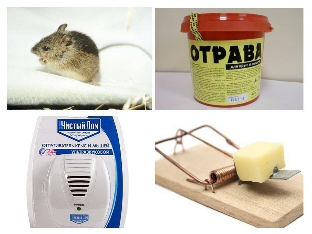 Чистый дом ультразвуковой отпугиватель от крыс и мышей