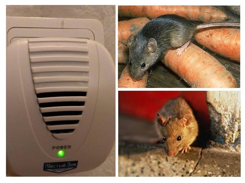 Отпугиватель грызунов ультразвуковой чистый дом от крыс и мышей