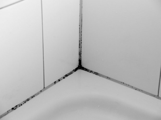 Черные точки на плитке в ванной