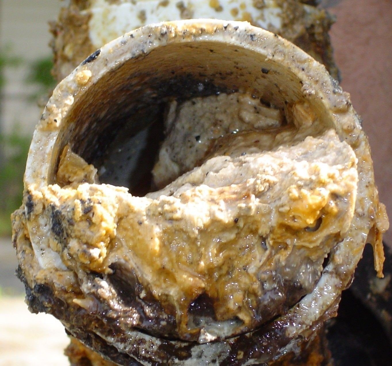 Отложения в канализационных трубах