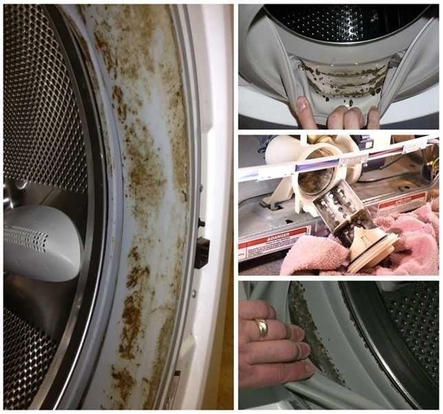 Средство от плесени в стиральной машине