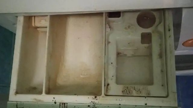 Как почистить отсек для порошка в стиральной машине от накипи и плесени?
